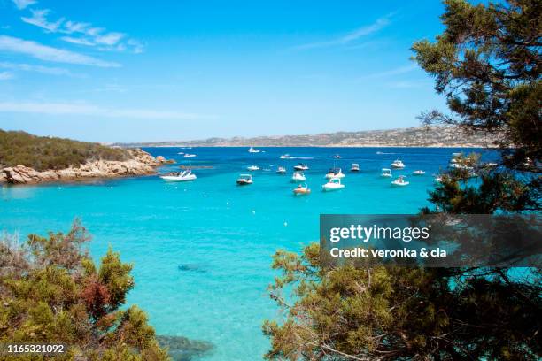 dream place - insel maddalena stock-fotos und bilder