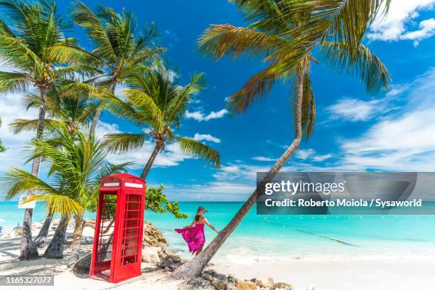 red phone box, siboney beach, antigua, caribbean - barbados stock-fotos und bilder