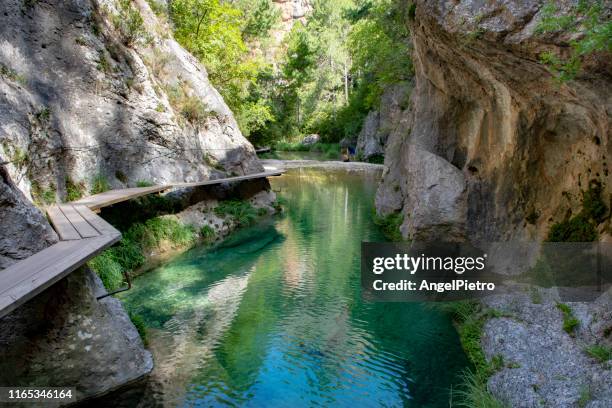 el parrizal - curso alto del río matarraña - teruel stock-fotos und bilder