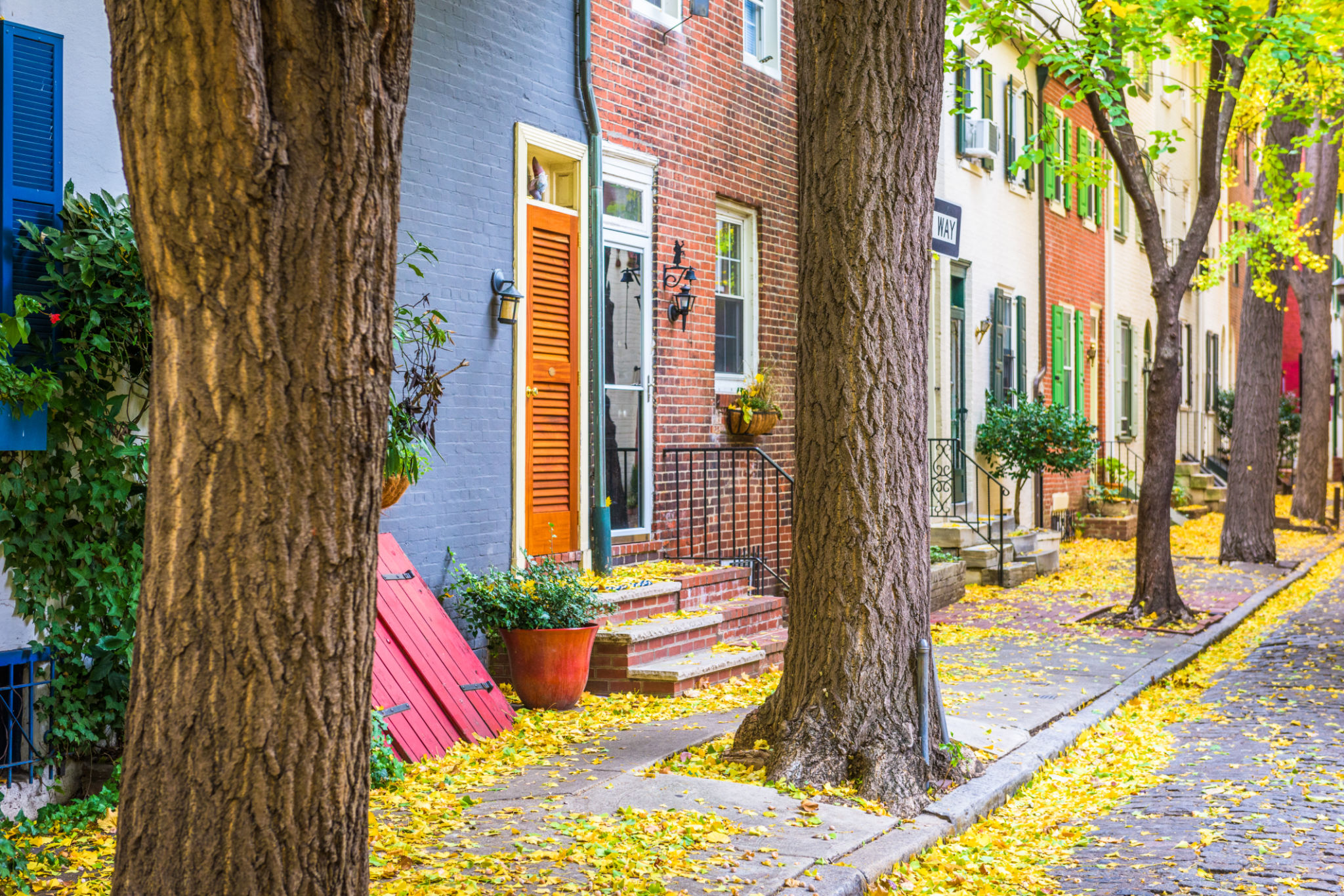Philadelphia autumn neighborhood streets