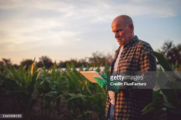 moderne technologie kann auch für landwirte nützlich sein! - concerned farmers stock-fotos und bilder