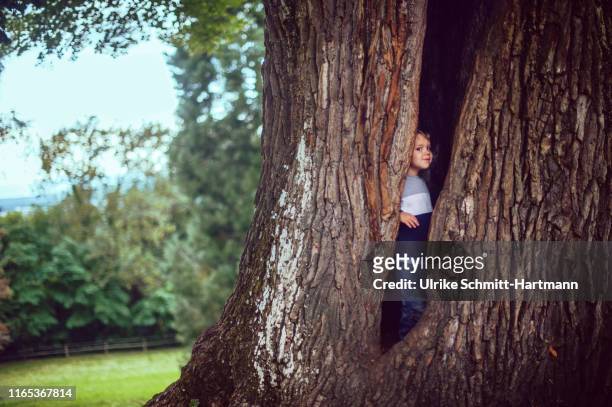 young boy hiding inside a hollow tree - sheltering stock-fotos und bilder