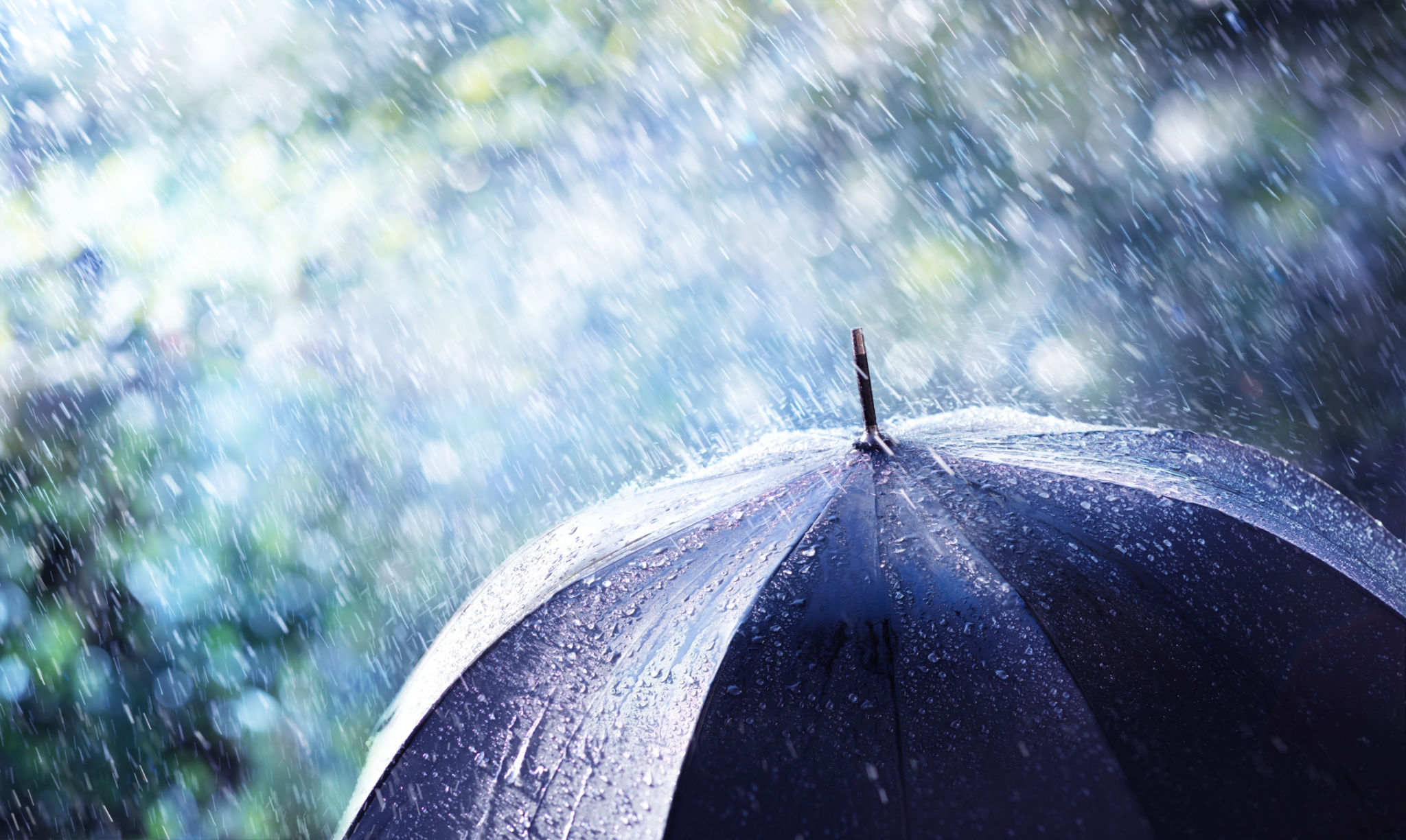 spring rain
