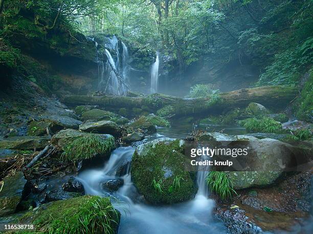 sarubo waterfall in morning - hyogo prefecture stock pictures, royalty-free photos & images