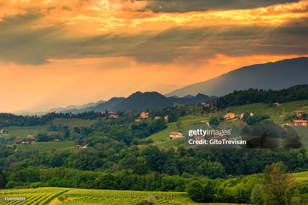 Refrontolo - the prosecco hills at sunset