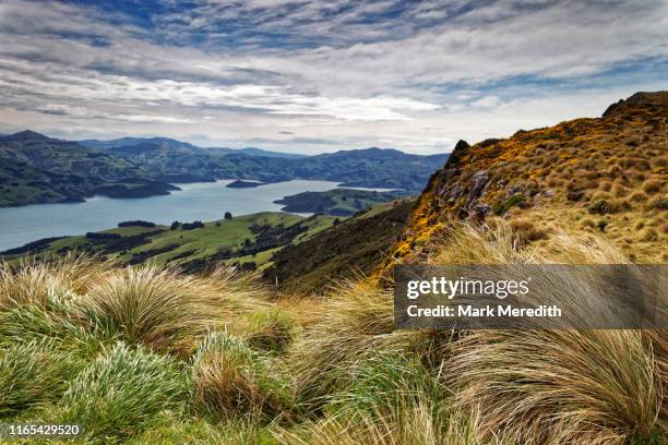 scenery high on the banks peninsula looking down to akaroa harbour - banks peninsula stock pictures, royalty-free photos & images