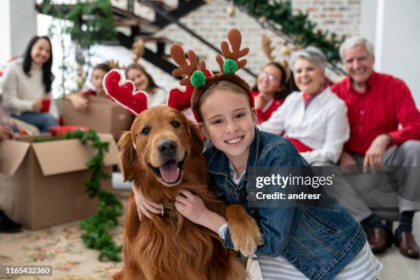 beautiful portrait of a happy girl and her dog celebrating christmas - dog christmas present stock pictures, royalty-free photos & images