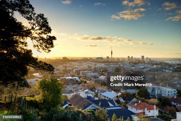 mt hobson overlooking auckland - auckland foto e immagini stock