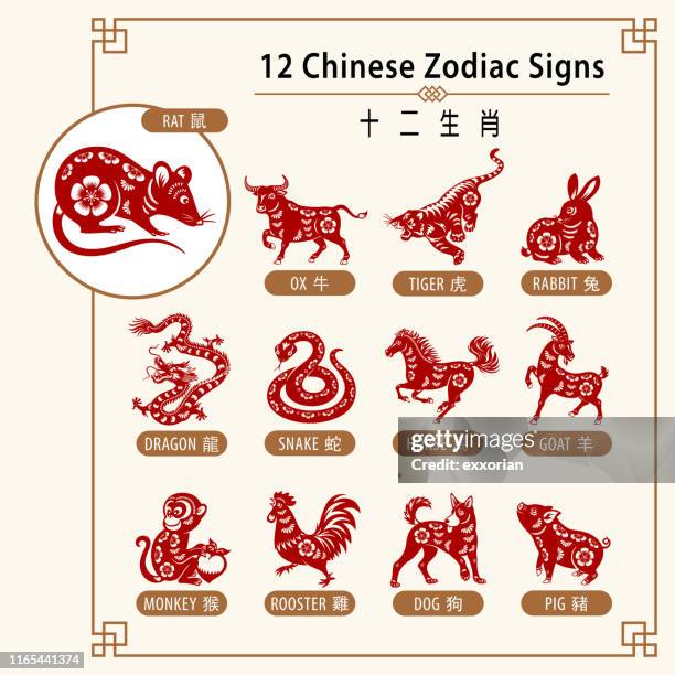 ilustrações de stock, clip art, desenhos animados e ícones de 12 chinese zodiac signs - símbolo do zodíaco chinês
