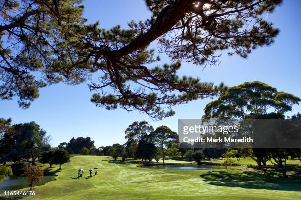 remuera golf course in the eastern suburbs of auckland - playing golf stock pictures, royalty-free photos & images