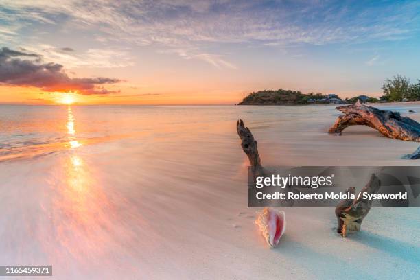 sunset on white sand beach, caribbean, antilles - barbados beach stock pictures, royalty-free photos & images