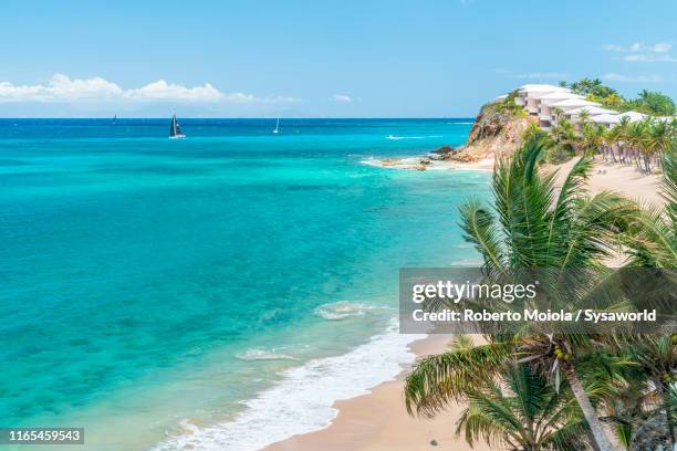 luxury resort on shores of caribbean sea, antilles - jamaica stockfoto's en -beelden