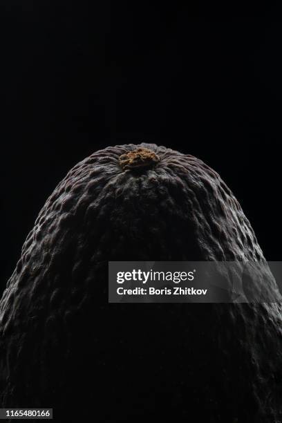 misterious avocado - avocat légume photos et images de collection