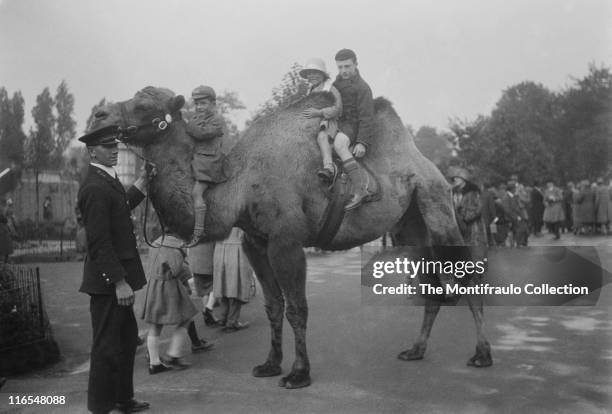 Two young boys and girl in school uniform on a camel, one boy sitting on its neck the other boy and girl holding tight to its hump, with zoo keeper...