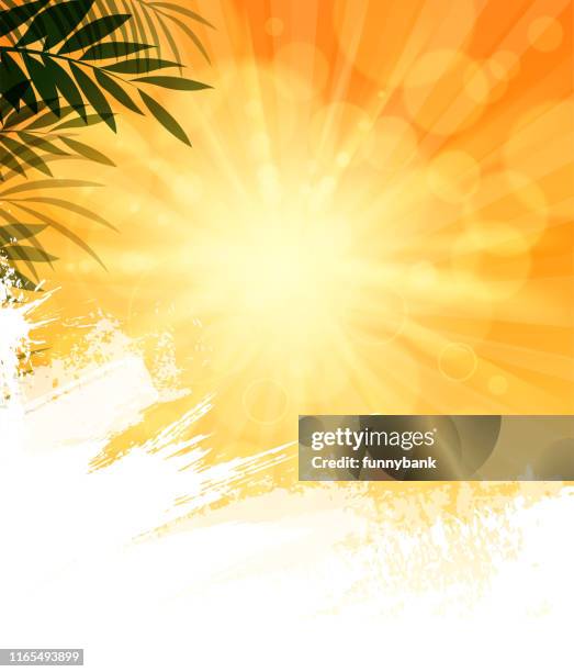 blank sunny sky - sun and palms stock illustrations