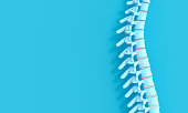 3d render image of a spine on a blue background.