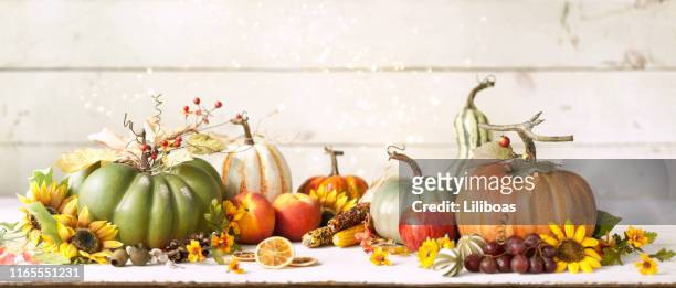 木の秋のカボチャの背景 - おもちゃカボチャ ストックフォトと画像
