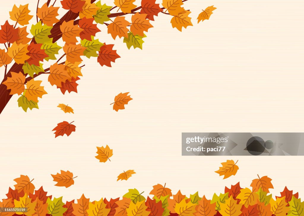 Caída de hojas de otoño. Ilustración vectorial.