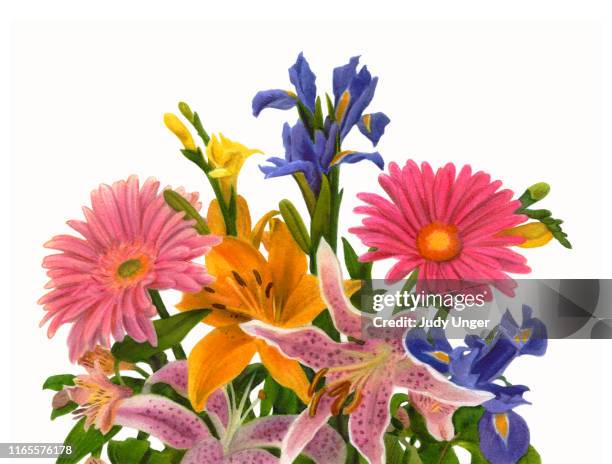 bouquet with daisy - iris flower close up stock illustrations