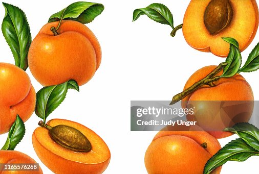 Apricot Frame Apricot Frame
