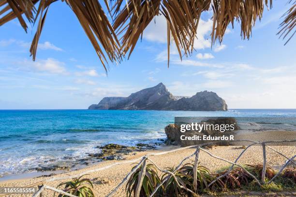 paradise beach with white sand and palm trees - palm beach environmental ramos stock pictures, royalty-free photos & images