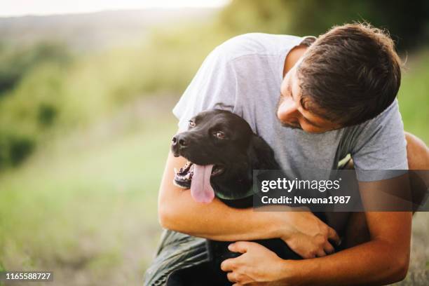 guy and his dog having a fun in the nature - cute dog with man stock pictures, royalty-free photos & images