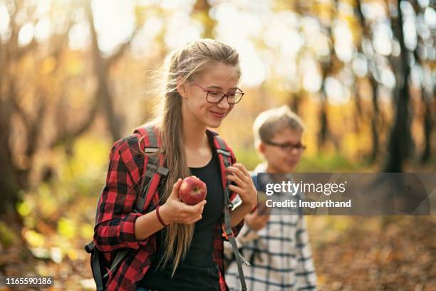 bruder und schwester genießen herbst im wald - teens brothers stock-fotos und bilder