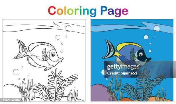 malbuch, blau tang fisch - blue tang fish stock-grafiken, -clipart, -cartoons und -symbole