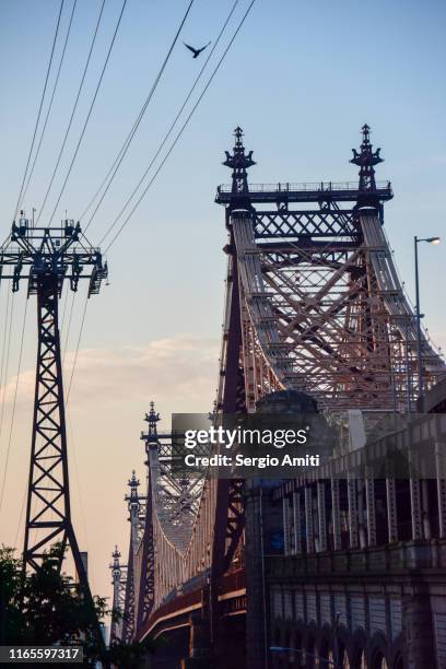 queensboro bridge at sunrise - roosevelt island stock pictures, royalty-free photos & images