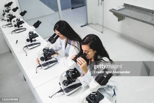535 Medical Student Microscope Stock Photos, High-Res Pictures, and ...