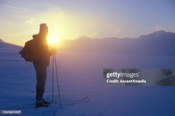 backcountry skier backlit in the morning sun on bow glacier - skier silhouette stock pictures, royalty-free photos & images