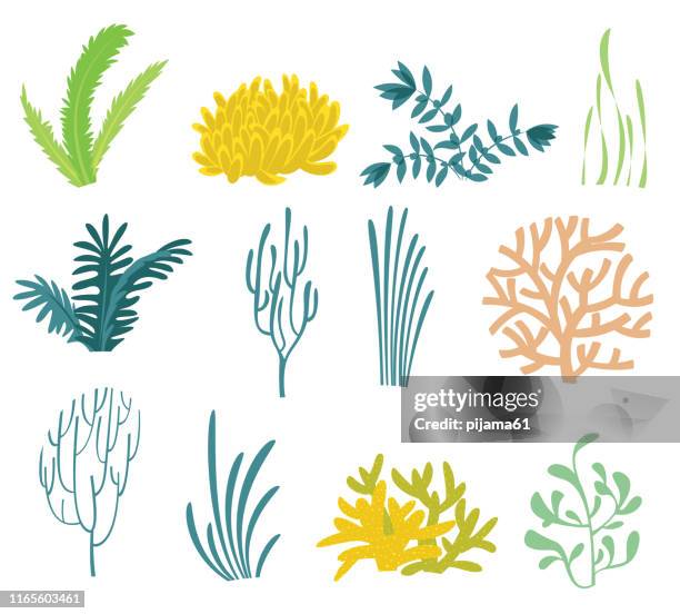 seaweed icons set - cnidarian stock illustrations