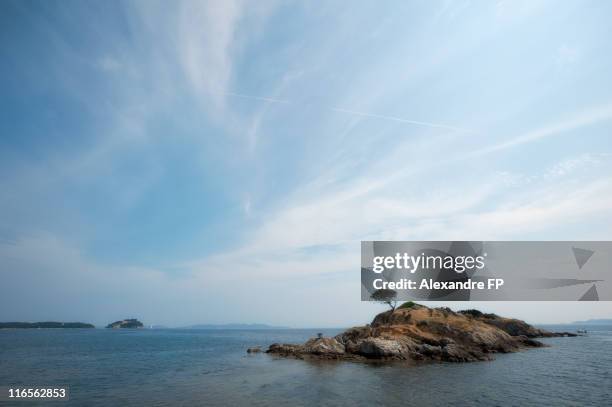 island off l'estagnol beach in french riviera - bormes les mimosas photos et images de collection