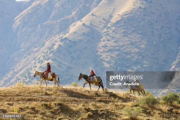 Turkey Riding Donkey Donkey Milk Photos and Premium High Res Pictures - Getty Images