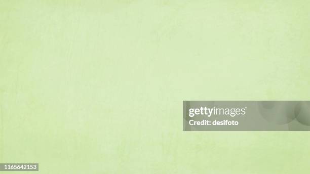 horizontal vector illustration of an empty pale green color textured effect background - vector textured effect grunge stock illustrations