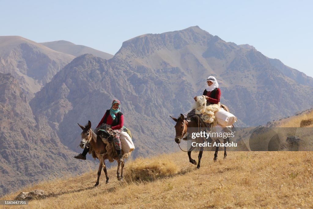 Turkey Riding Donkey Women ride donkeys and mules on their way to milk their sheep on a ...