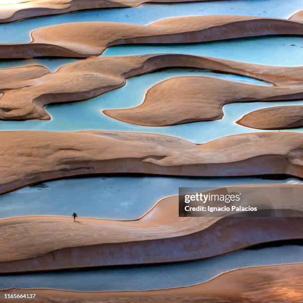 lençóis maranhenses national park - maranhao state ストックフォトと画像