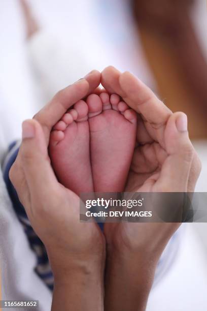 newborn baby feet in parent hands - asian foot massage stock pictures, royalty-free photos & images