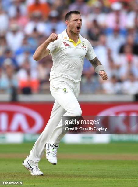 James Pattinson of Australia celebrates dismissing Jason Roy of England during day two of the 1st Specsavers Ashes Test between England and Australia...