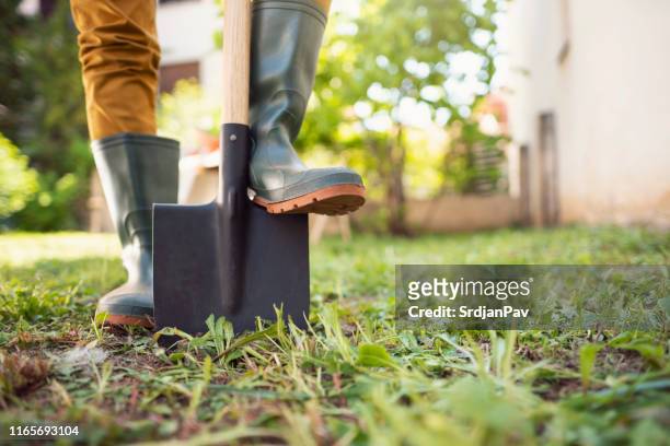 klaar voor tuinieren - man feet stockfoto's en -beelden