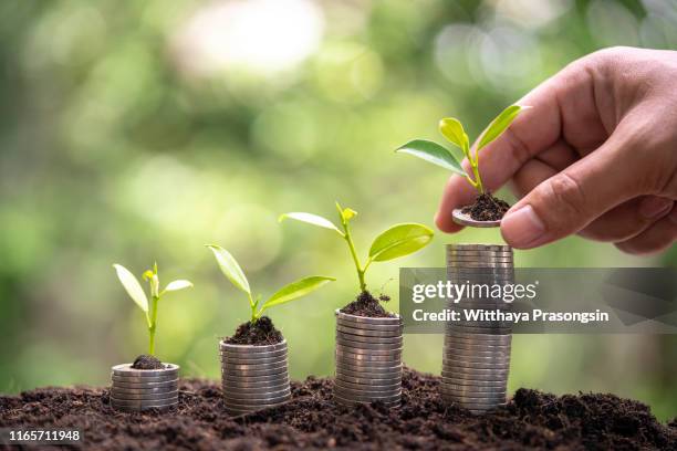 money growing - financial strength stock pictures, royalty-free photos & images