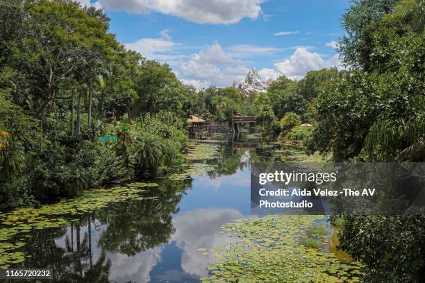 expedition everest - roller coaster - coaster forest stock pictures, royalty-free photos & images