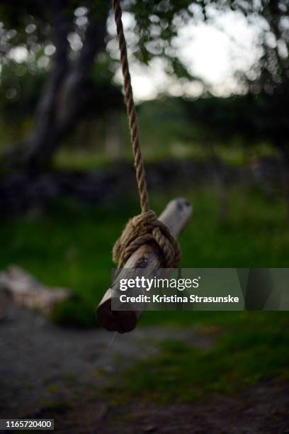 wooden swing on a rope hanging on a tree in a forest - rope swing stock pictures, royalty-free photos & images