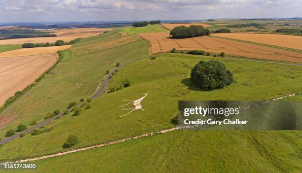 chalk white horse at hackpen hill - marlborough stock pictures, royalty-free photos & images