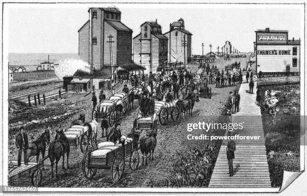 the grain market in brandon, manitoba, canada - 19th century - western canada stock illustrations
