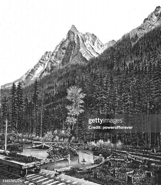 Mount Carroll And Rogers Pass In The Canadian Rockies Of British Columbia Canada 19th Century High-Res Vector Graphic