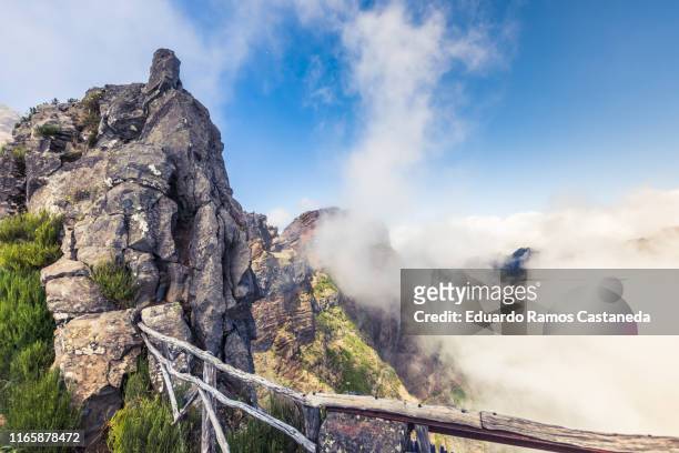 mountain landscape with cloudy sky and flowers and very colorful - pico do arieiro fotografías e imágenes de stock