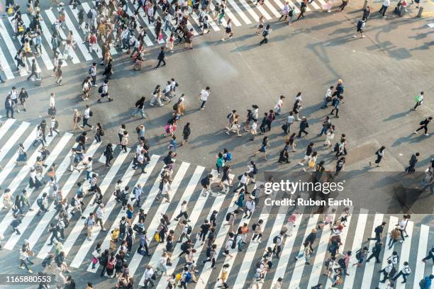 shibuya crosswalk from above - paso de cebra fotografías e imágenes de stock