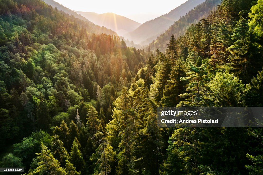 Borjomi Kharagauli National Park, Georgia