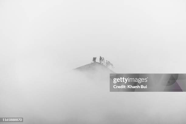 the abstract of the fog with bare hill and trees, deforestation and we all know about climate change - black and white landscape stock pictures, royalty-free photos & images